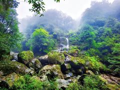 -龙苍沟森林公园