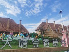 -大塘金香草谷