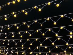 -龙巢盱眙龙虾·鸡煲·烧烤宵夜(坪洲店)
