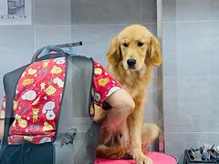 -宠福鑫康馨动物医院·骨科·眼科