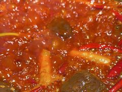 -蜀辣居鲜货老火锅(红牌楼店)