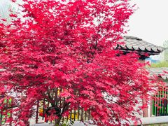 -西安汉城湖景区