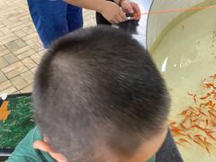 -杭州少年儿童公园