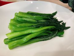 -食神鱼头佛跳墙(百子湾旗舰店)