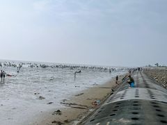 -东疆理想海岸沙滩景区