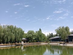 -金城公园