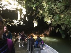 -怀托摩萤火虫洞