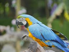 -Sony Store索尼(广州正佳店)