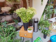 -蝶舍·MAISON PAPILLON