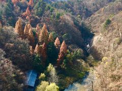 -洛阳白云山景区