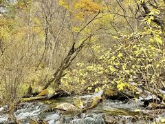 -叠溪松坪沟景区