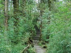 -龙苍沟森林公园