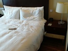 -上海龙之梦万丽酒店