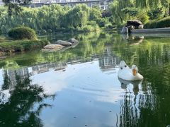 -木塔寺遗址生态公园