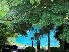 -海口万豪·大堂吧·望海吧.日落海景·下午茶·奶茶·咖啡·轻食·蛋糕·鸡尾酒·清吧