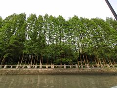 -运河游船(武林门码头)