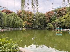 -绵阳人民公园(涪城区)