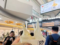 -野人先生Gelato(上海长宁龙之梦店)