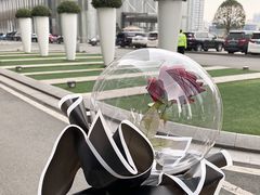 -成都尼依格罗酒店