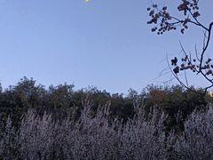 -艾溪湖湿地公园