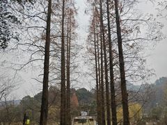 -常德桃花源景区