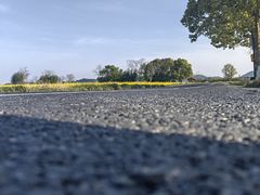 -良渚古城遗址公园