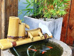 -小茶闲舍·观景商务茶馆(广州塔店)