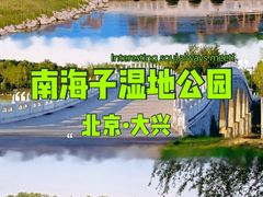 -南海子公园