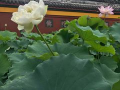 -宝光寺