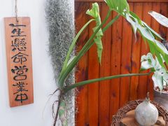 -肥朵食堂(带梦胡同店)