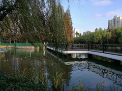 -黄兴公园