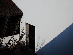 -绮园景区