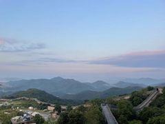 -黄贤森林公园