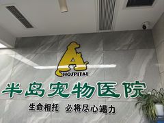 -半岛宠物医院24小时(白果林店)