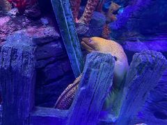 -沈阳海洋探索中心