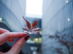 -南京大学杜厦图书馆