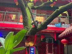 -天外天(忻黑线店)