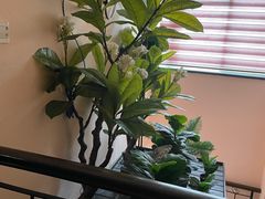 -怡泰SPA·泰疗按摩(徽宁路店)