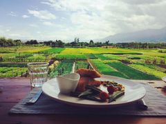 -翠田Green Field Kitchen