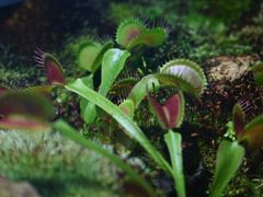 -国家植物园南园