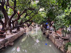 -小洲村