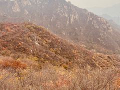-大岭沟猕猴桃谷风景区