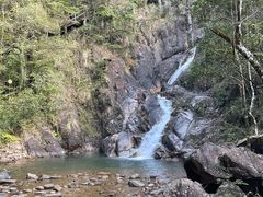 -九龙江国家森林公园