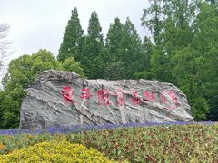 -东平国家森林公园