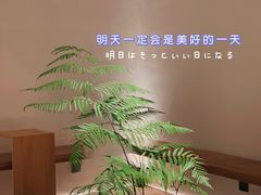 -光作面包Voila Lumiere(中山店)