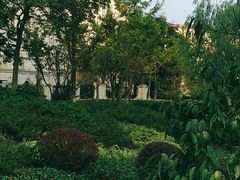 -杭州半山国家森林公园