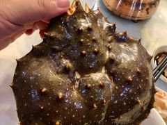 帝王蟹-江杨农产品批发市场