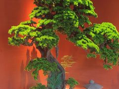 -阿伟海鲜楼·福建菜(延寿店)