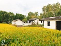 -溱湖国家湿地公园