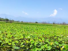 -野鸭湖国家湿地公园